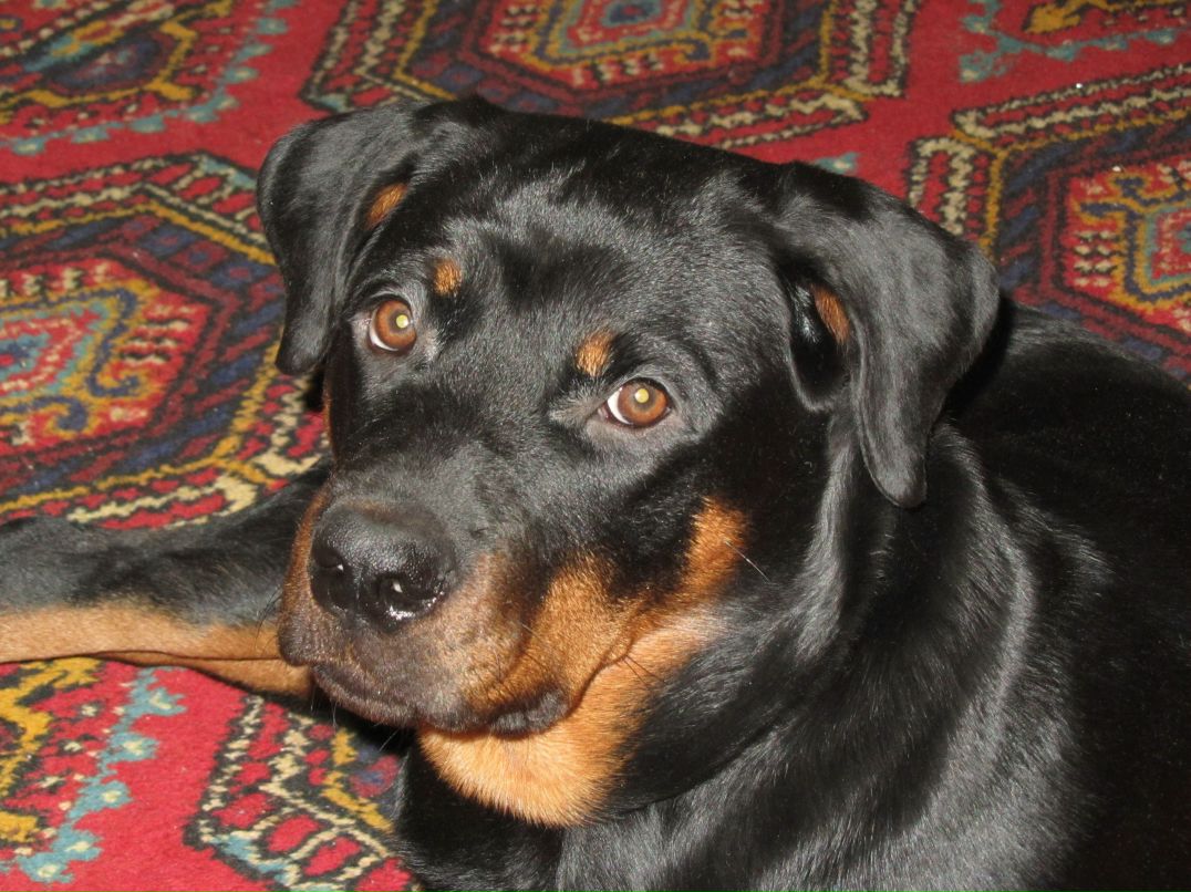 Алёна Пучкова Юрьевна | 