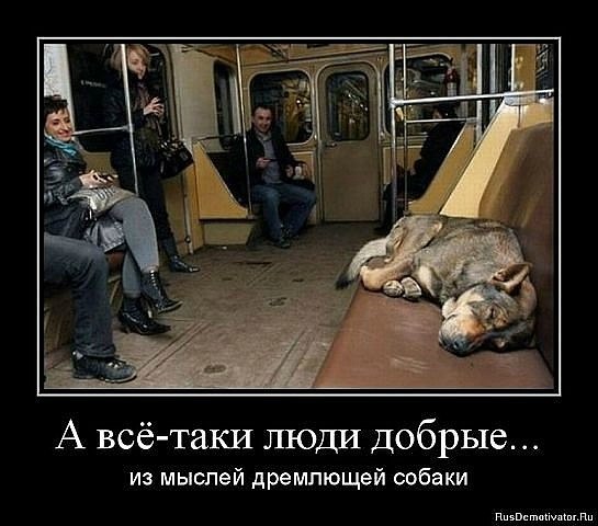 Дмитрий Валерьевич | Клинцы