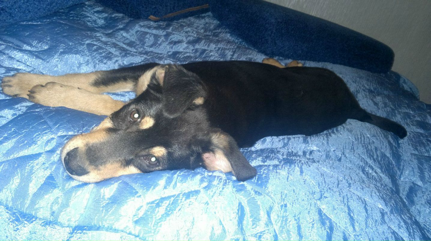 Олег Янковский ОлЕжКа:) | Киев