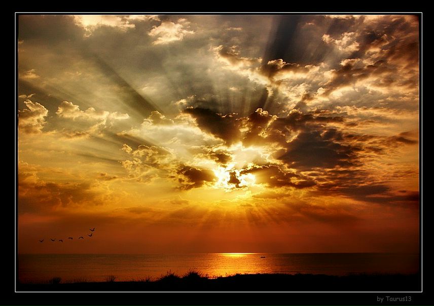 №81, Murad Kamazov №81, Murad Kamazov