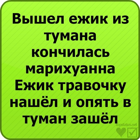 №19, Влада Кукса №19, Влада Кукса