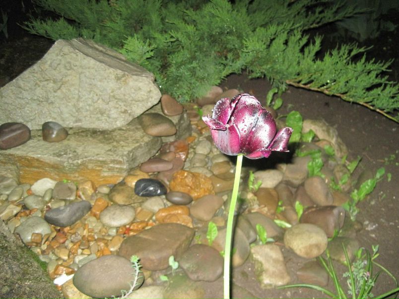 №46, Елена Лебедь, 35 лет №46, Елена Лебедь, 35 лет