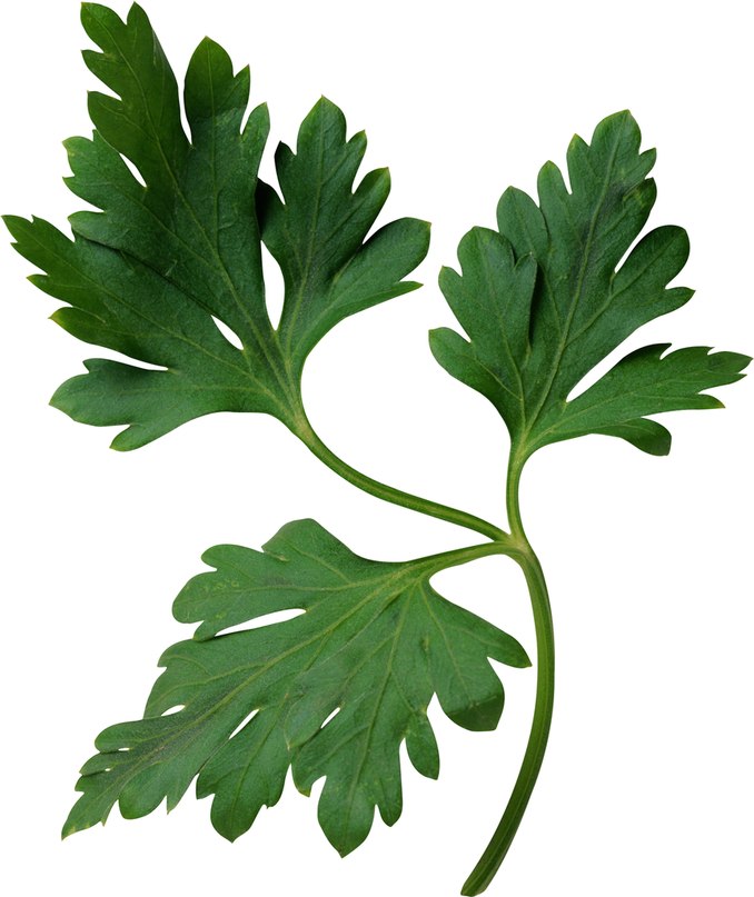 Станислав Сидоров Петрушка | Волгоград