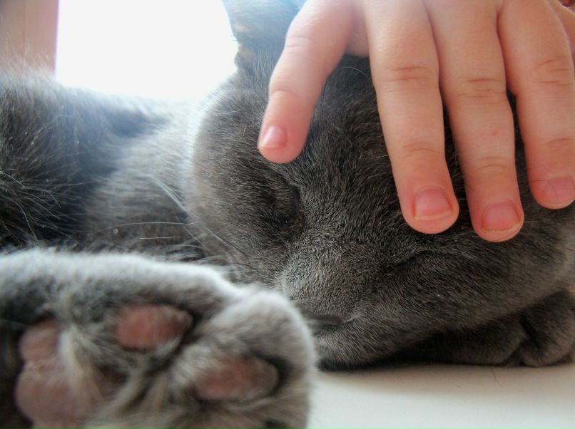 Татьяна Кассина | Киров