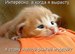 Екатерина Фиалко фотография #7