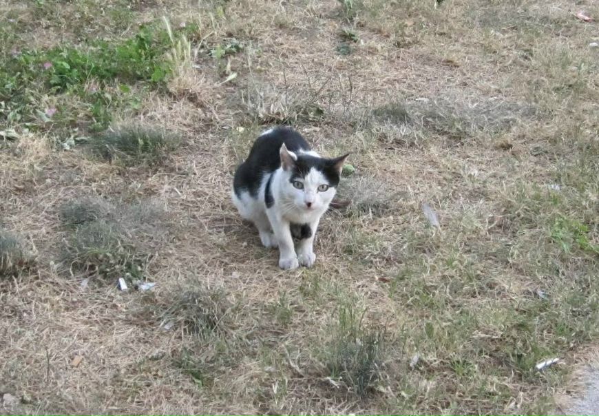 №94, Дмитрий Кистанов, Калининград, Россия №94, Дмитрий Кистанов, Калининград, Россия