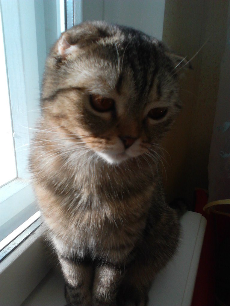 Света Юрченко Цветочек | Минск