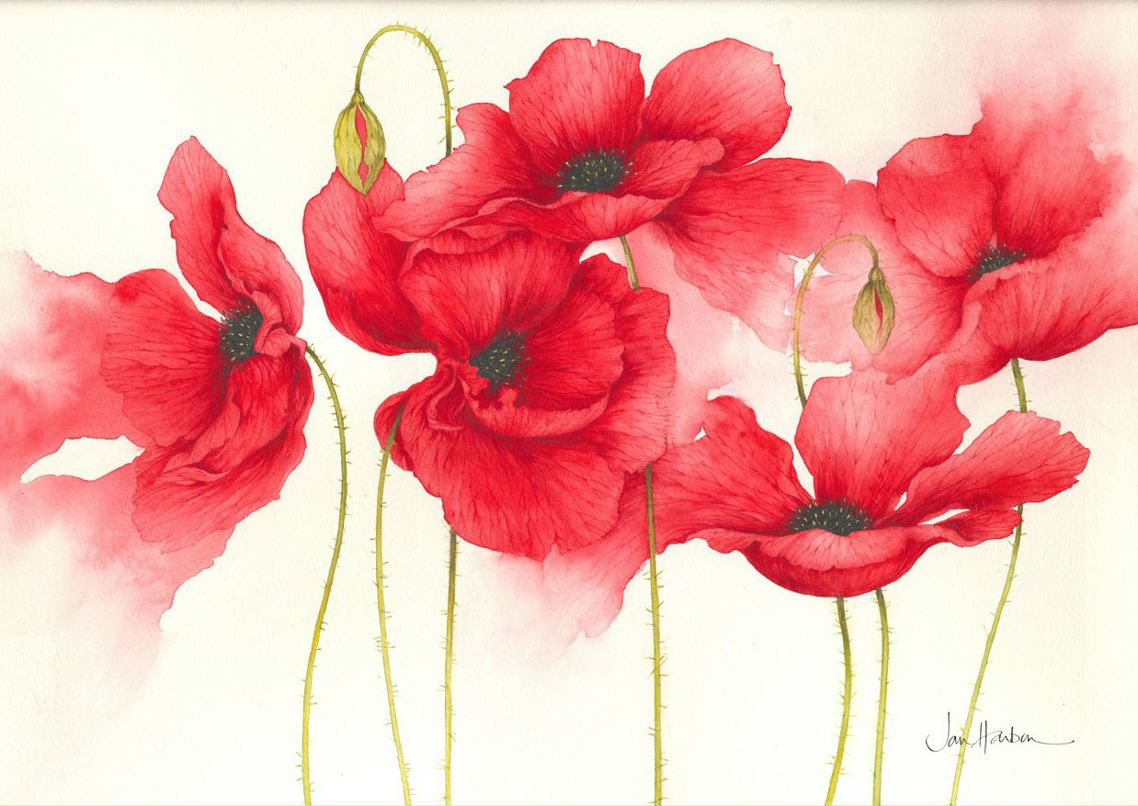 Таня Гринь | 