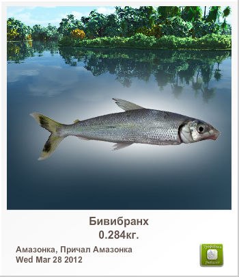Александр Махницкий | Петрозаводск