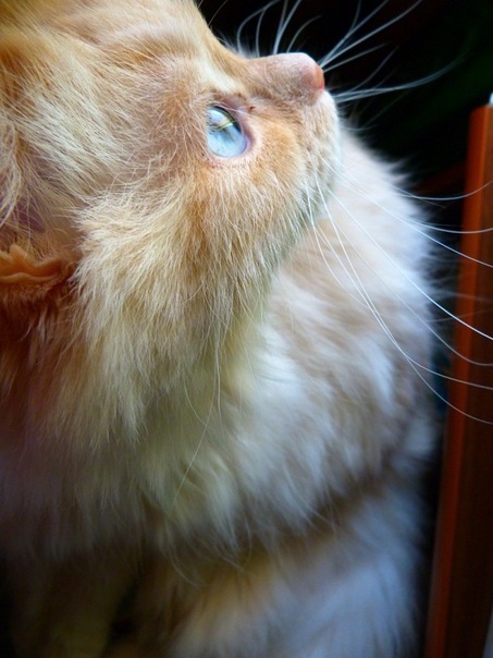 №28, Наталья Васильева, 36 лет, Уфа №28, Наталья Васильева, 36 лет, Уфа