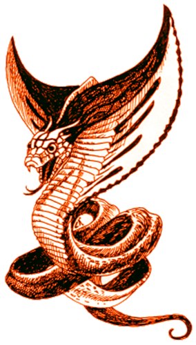 Виталий Азаров | Киев