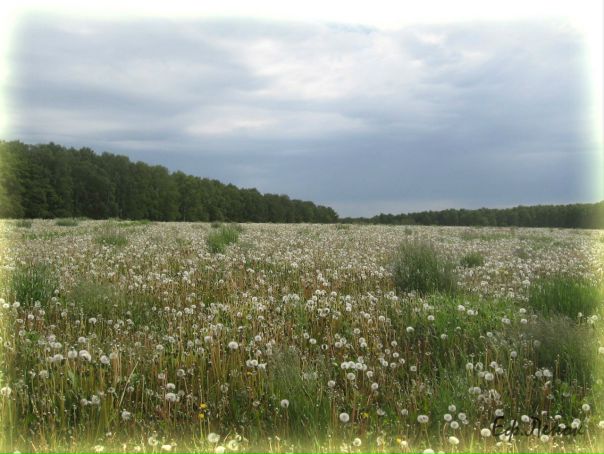 №139, Елена Ефременко, 37 лет, Москва №139, Елена Ефременко, 37 лет, Москва