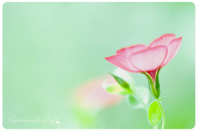 №3, Наташка Чернявская, 39 лет, Одесса №3, Наташка Чернявская, 39 лет, Одесса