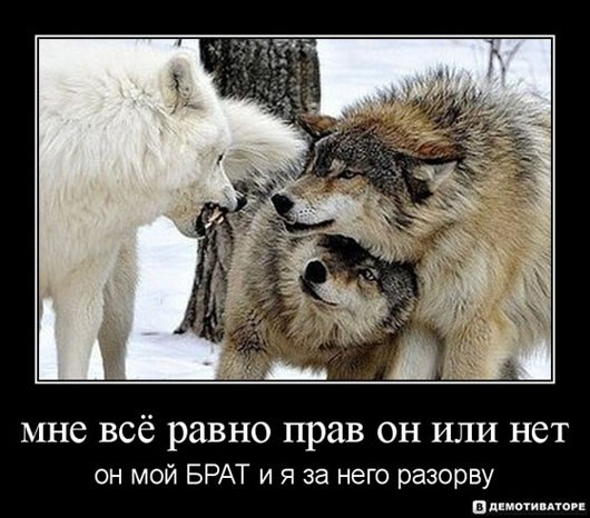 Дмитрий Арсенькин | Электроугли