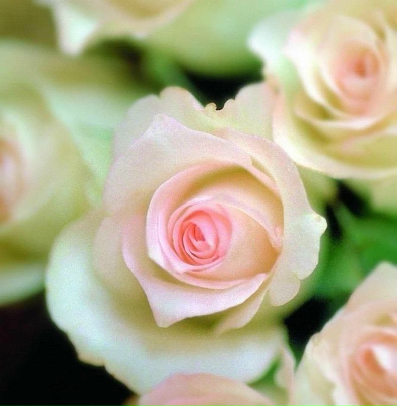 Катя Амосова | Петрозаводск