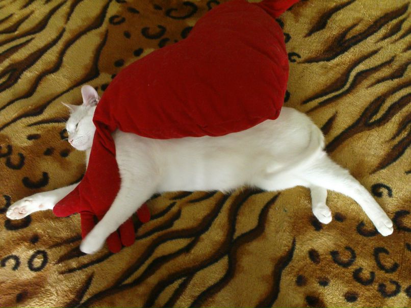 Мария Захарова | Москва