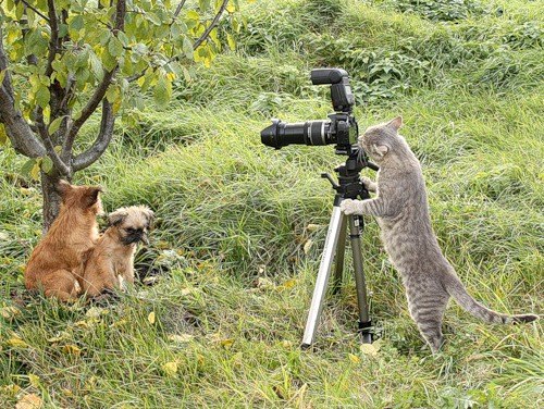 Артем Давтян | Москва