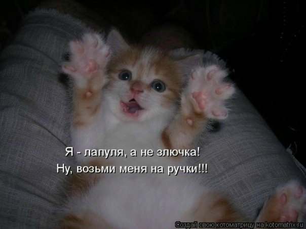 Натусик Константинова | Санкт-Петербург