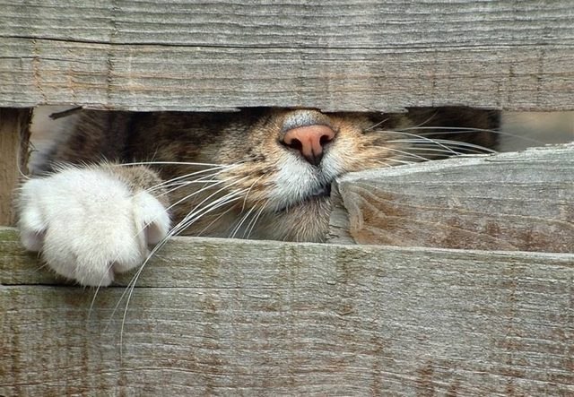 Иринка Макрушина KoШ@tina | Мегион