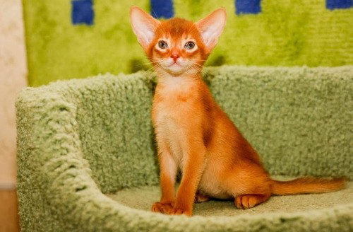 Евгений Белоусов | Наро-Фоминск-10