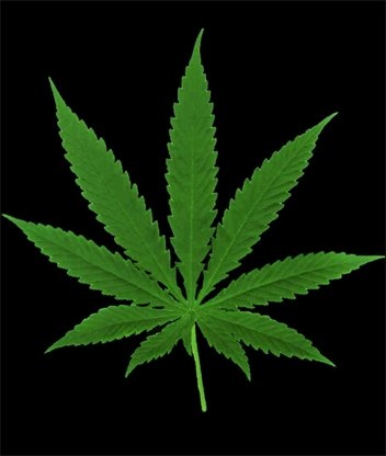 Владимир Данилов (Альтист) | Madrid