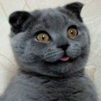 Сергей Бурцев | Москва