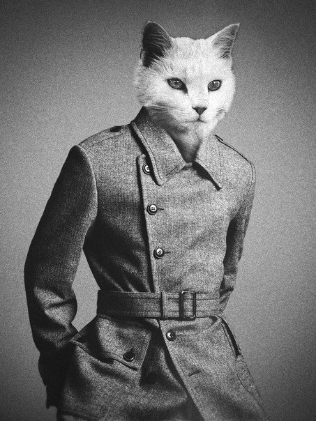 №12, Сергій Корчевний №12, Сергій Корчевний