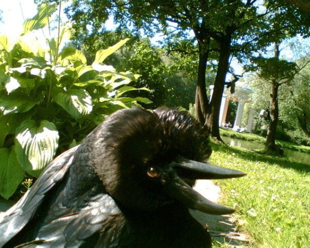 Таша Солнцева | Москва