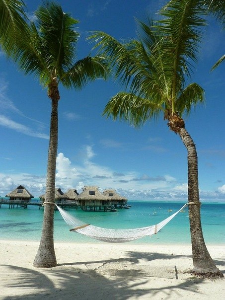 Мария Кожирнова m@l@i | Нижний Новгород