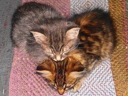 Татьяна Вуглинская | Санкт-Петербург