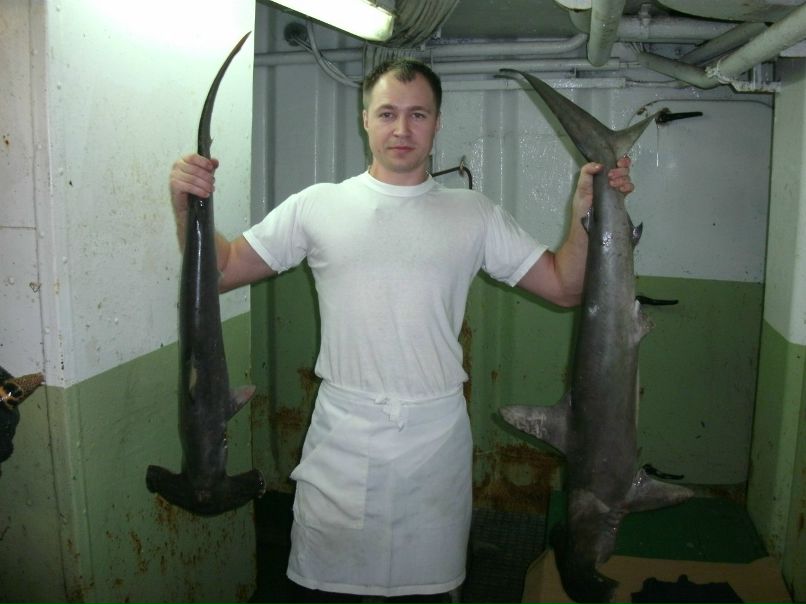 Максим Мамыкин Hou$e | Керчь