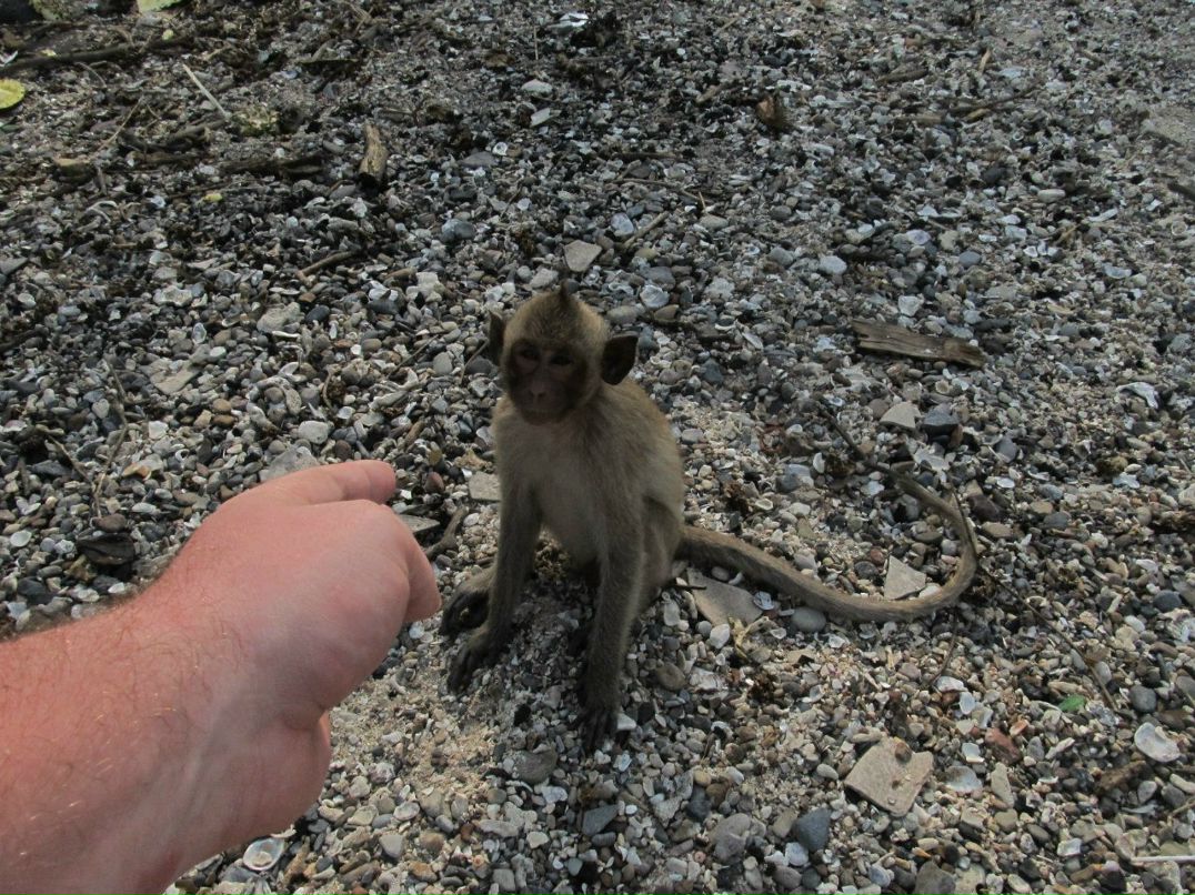 Денис Игнатьев | Санкт-Петербург