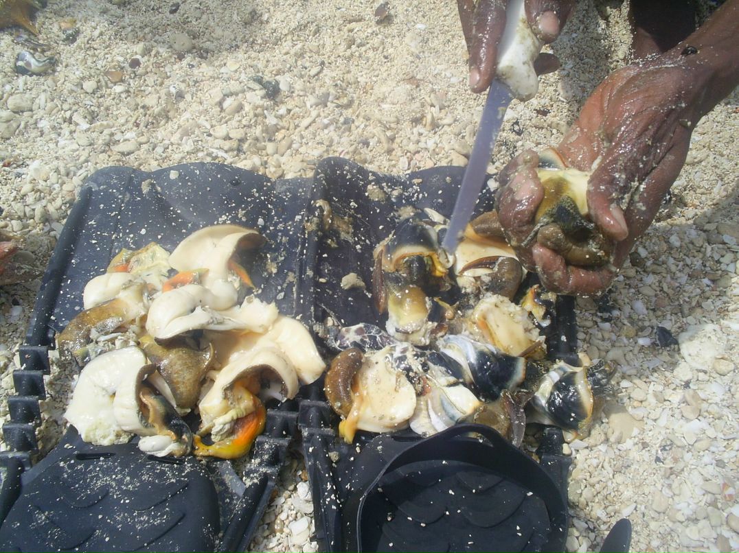 Екатерина Никищихина | Москва