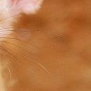 №25, Настя Кот, 27 лет, Обнинск №25, Настя Кот, 27 лет, Обнинск