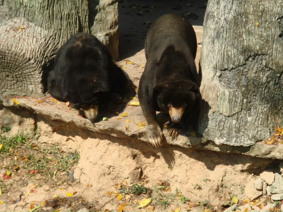 Юрий Королев | Уфа