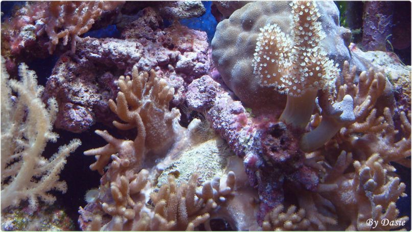 Дана Нурченкова | Thessaloniki