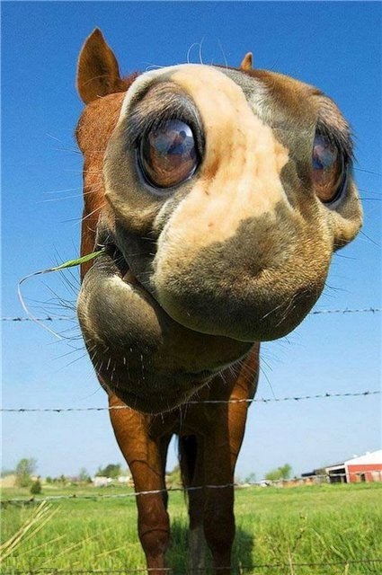 Алексей Крапивенцев | Белгород