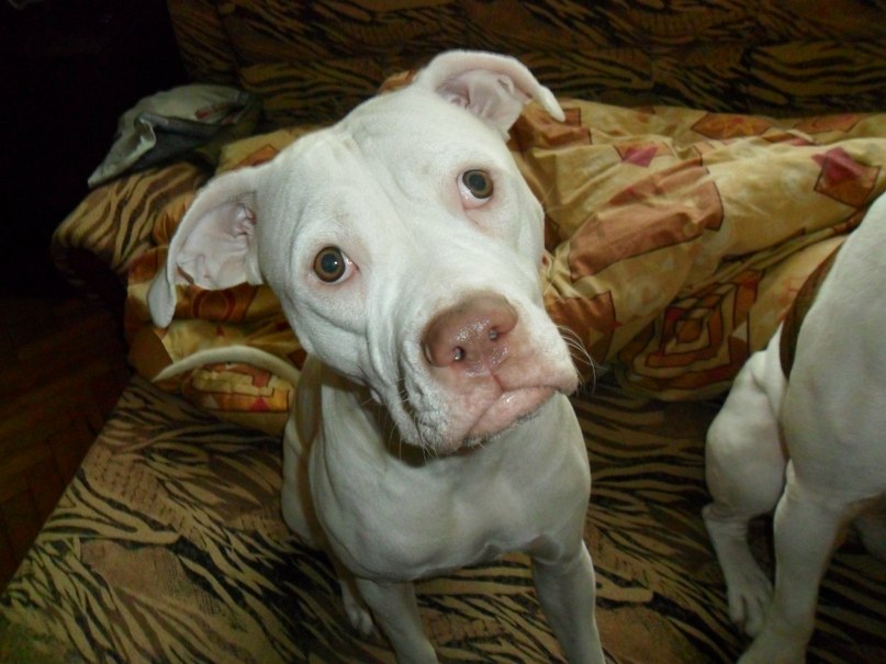 Жека Раджабов | Киев