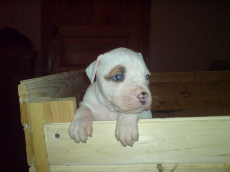 Жека Раджабов | Киев