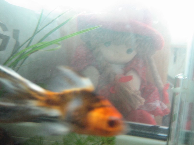 Анастасия Румянцева | Санкт-Петербург