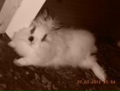 №3, Юлия Крошка, 8.7, Москва, Россия