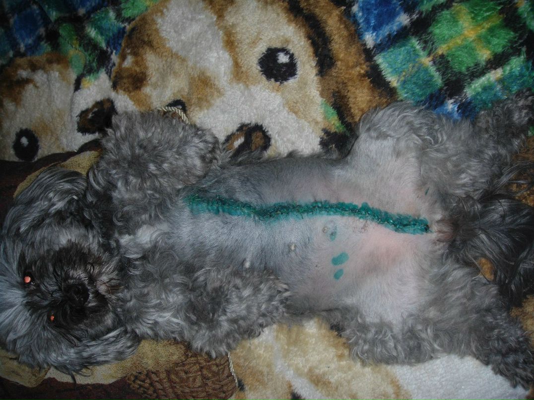 Ирина Струнникова | Санкт-Петербург