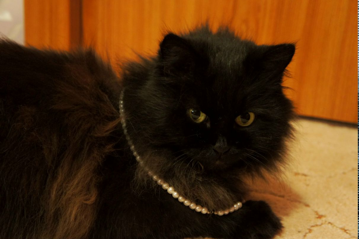 Алла Большакова | Санкт-Петербург