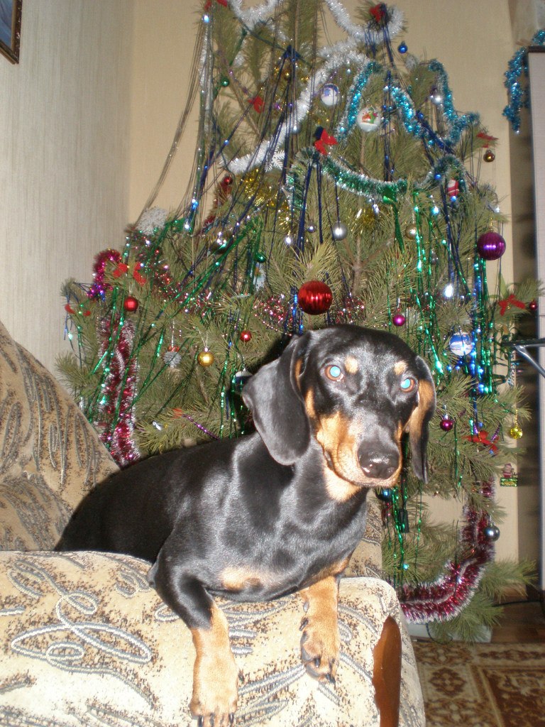 Инна Найденова | Мариуполь