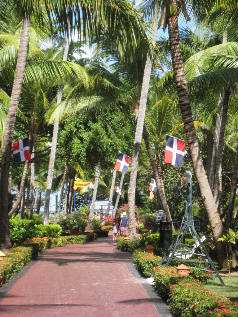 Александр Студенок | Санкт-Петербург