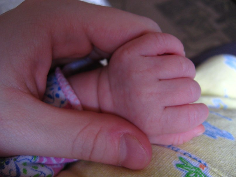 Полина Янина | Нижний Новгород