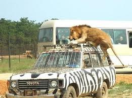 Игорь Игоревич | Москва