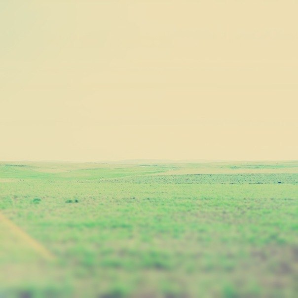 Яков Курочкин | 