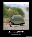 №4 Дмитрий Чучвага 28.10: профиль, фото, статус - ВКонтакте №4 Дмитрий Чучвага 28.10: профиль, фото, статус - ВКонтакте