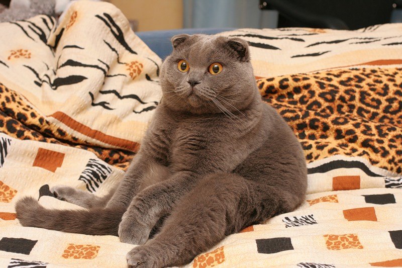 Мария Александрова | Нижний Новгород